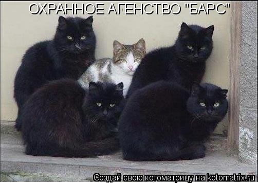 Котоматрица: ОХРАННОЕ АГЕНСТВО "БАРС"