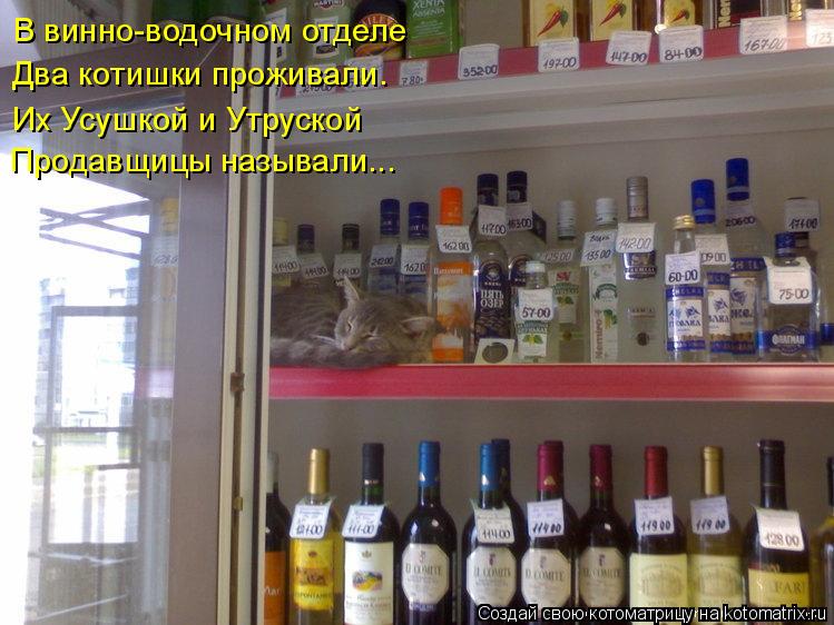 В винно-водочном отделе Два котишки проживали. Их Усушкой и Утруской Продавщицы называли...... Котоматрица: В винно-водочном отделе Два котишки проживали. Их Усушкой и Утруской Продавщицы называли...