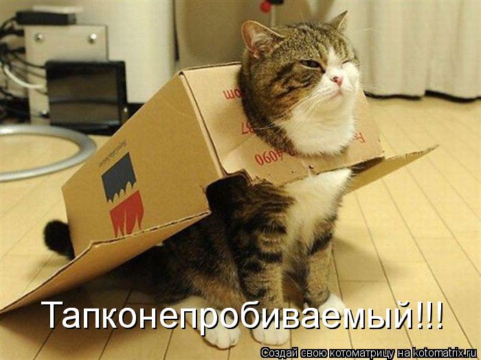 Котоматрица: Тапконепробиваемый!!! Тапконепробиваемый!!!