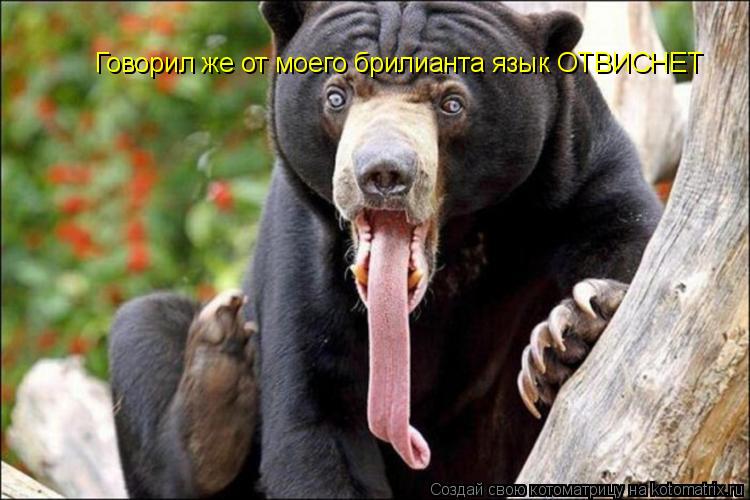 Котоматрица: Говорил же от моего брилианта язык ОТВИСНЕТ