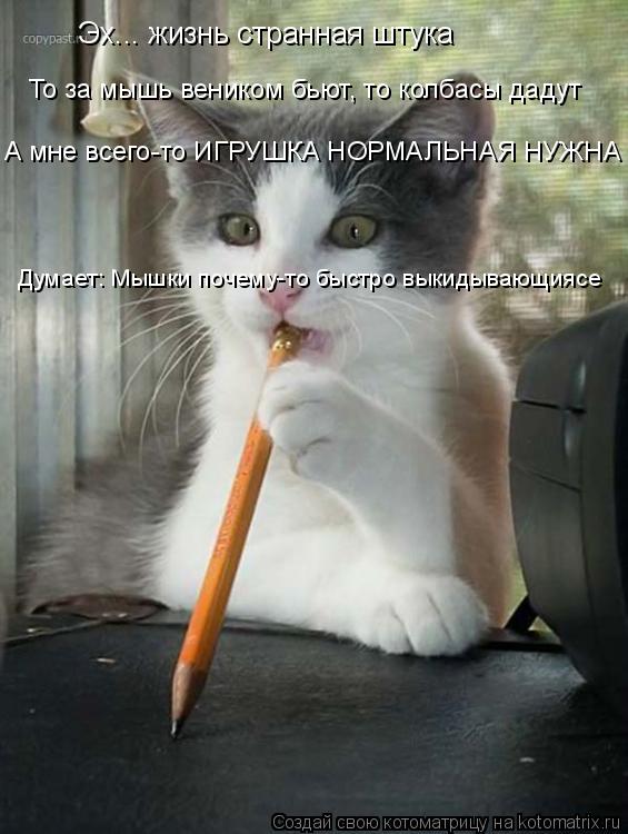 Котоматрица: Эх... жизнь странная штука То за мышь веником бьют, то колбасы дадут А мне всего-то ИГРУШКА НОРМАЛЬНАЯ НУЖНА Думает: Мышки почему-то быстро вы