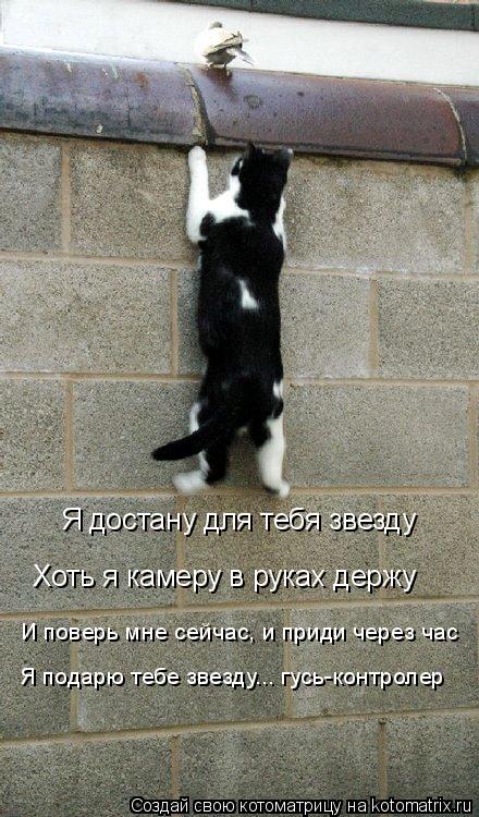 Котоматрица: Я достану для тебя звезду Хоть я камеру в руках держу И поверь мне сейчас, и приди через час Я подарю тебе звезду... гусь-контролер