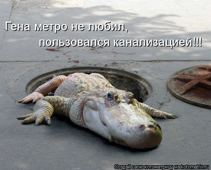 Котоматрица: Гена метро не любил,  пользовался канализацией!!!