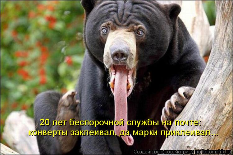 Котоматрица: 20 лет беспорочной службы на почте: конверты заклеивал, да марки приклеивал...