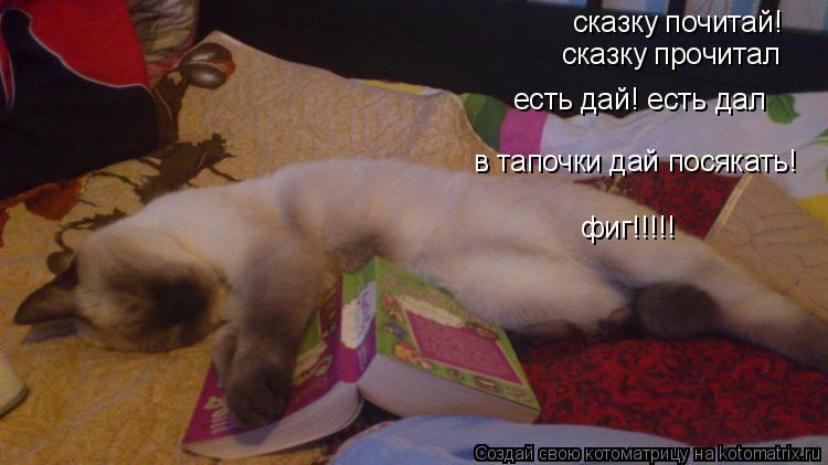 Котоматрица: сказку почитай! сказку прочитал в тапочки дай посякать! есть дай! есть дал фиг!!!!!