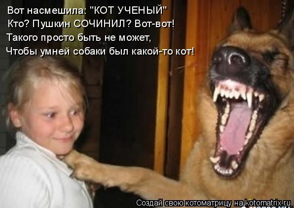 Вот насмешила: "КОТ УЧЕНЫЙ" Кто? Пушкин СОЧИНИЛ? Вот-вот! Такого просто быть не может, Чтобы умней со... Котоматрица: Вот насмешила: "КОТ УЧЕНЫЙ" Кто? Пушкин СОЧИНИЛ? Вот-вот! Такого просто быть не может, Чтобы умней собаки был какой-то кот!