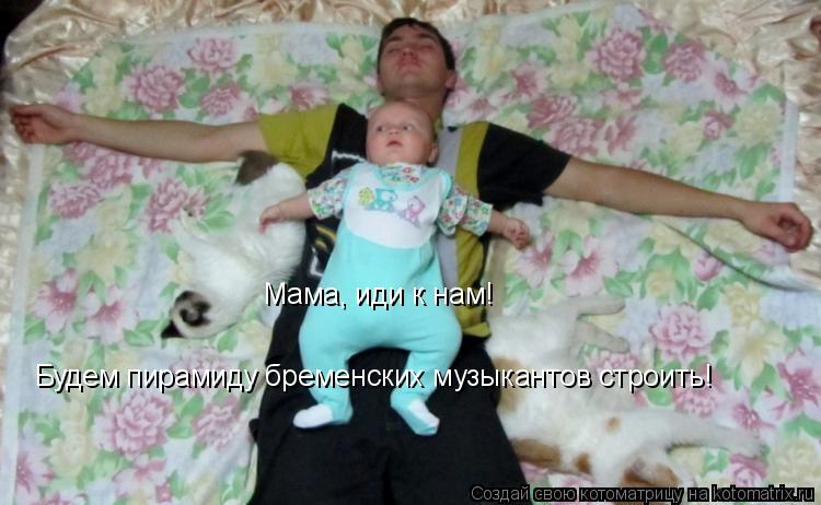 Котоматрица: Мама, иди к нам! Будем пирамиду бременских музыкантов строить!