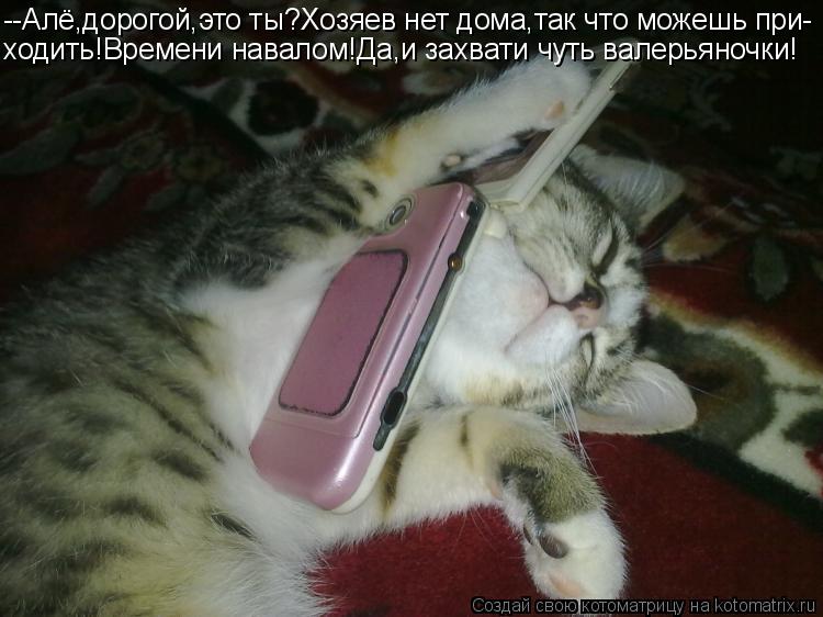 Котоматрица: --Алё,дорогой,это ты?Хозяев нет дома,так что можешь при- ходить!Времени навалом!Да,и захвати чуть валерьяночки!