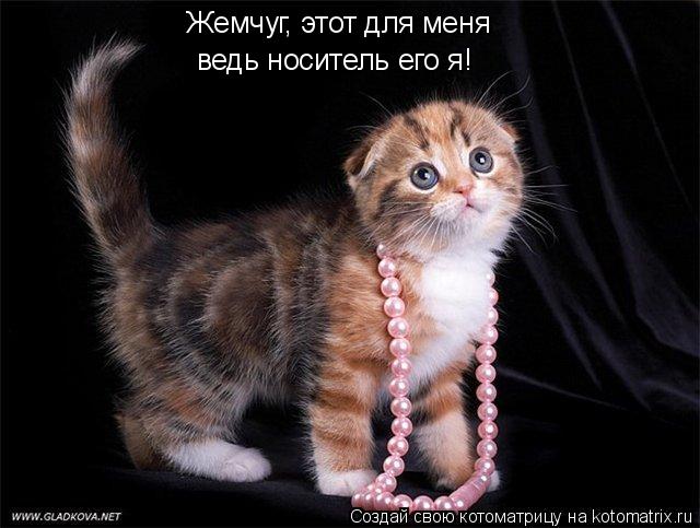 Котоматрица: Жемчуг, этот для меня ведь носитель его я!