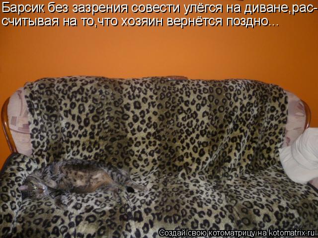 Котоматрица: Барсик без зазрения совести улёгся на диване,рас- считывая на то,что хозяин вернётся поздно...