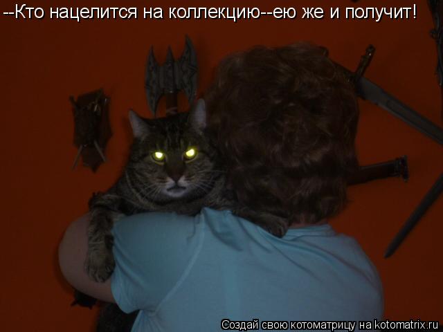 Котоматрица: --Кто нацелится на коллекцию--ею же и получит!