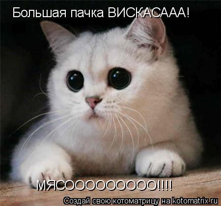 Котоматрица: Большая пачка ВИСКАСААА! МЯСООООООООО!!!!
