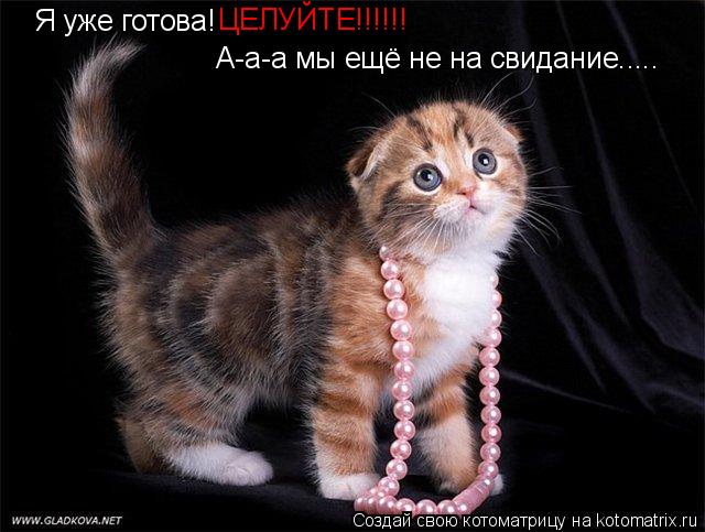Котоматрица: Я уже готова!  ЦЕЛУЙТЕ!!!!!! А-а-а мы ещё не на свидание.....