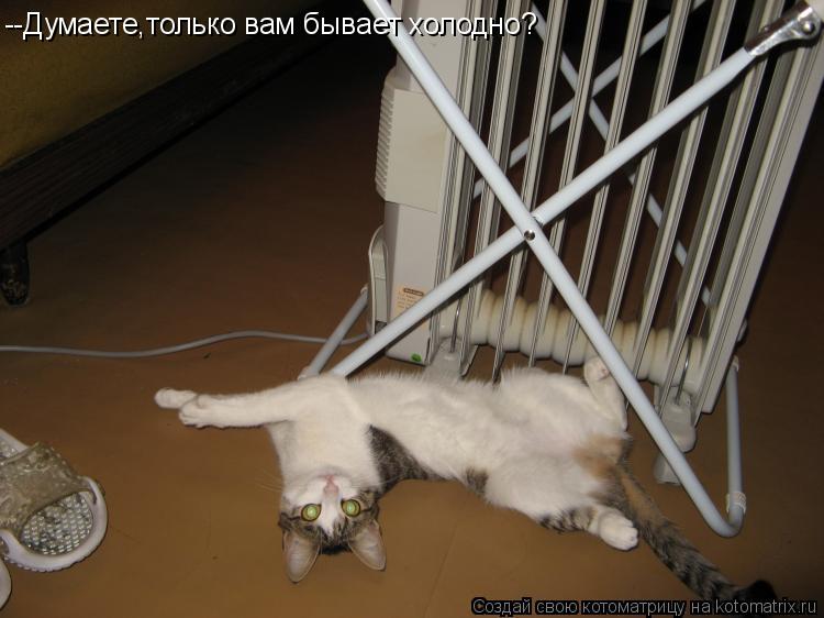 Котоматрица: --Думаете,только вам бывает холодно?