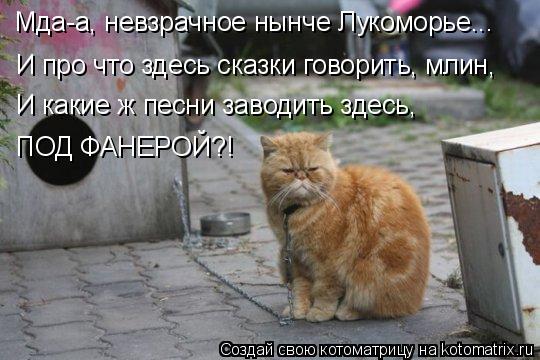 Котоматрица: Мда-а, невзрачное нынче Лукоморье... И про что здесь сказки говорить, млин, И какие ж песни заводить здесь,  ПОД ФАНЕРОЙ?!