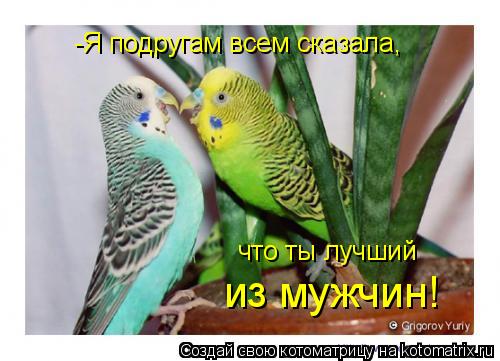 Котоматрица: -Я подругам всем сказала, что ты лучший  из мужчин!