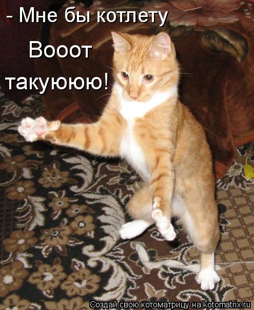 Котоматрица: - Мне бы котлету Вооот такуююю!