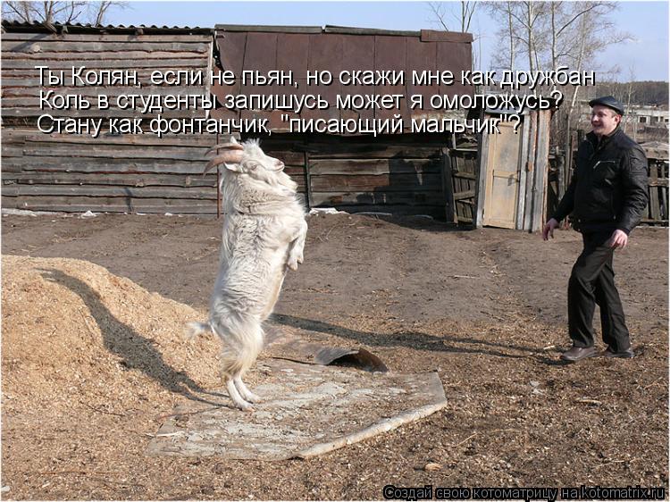 Котоматрица: Ты Колян, если не пьян, но скажи мне как дружбан Коль в студенты запишусь может я омоложусь? Стану как фонтанчик, "писающий мальчик"?