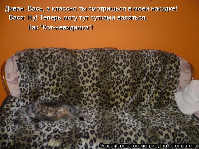 Котоматрица: Диван: Вась, а классно ты смотришься в моей накидке! Вася: Ну! Теперь могу тут сутками валяться,  Как "Кот-невидимка"!