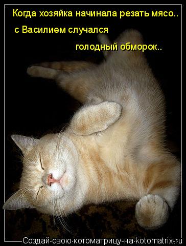 Котоматрица: Когда хозяйка начинала резать мясо.. с Василием случался  голодный обморок..