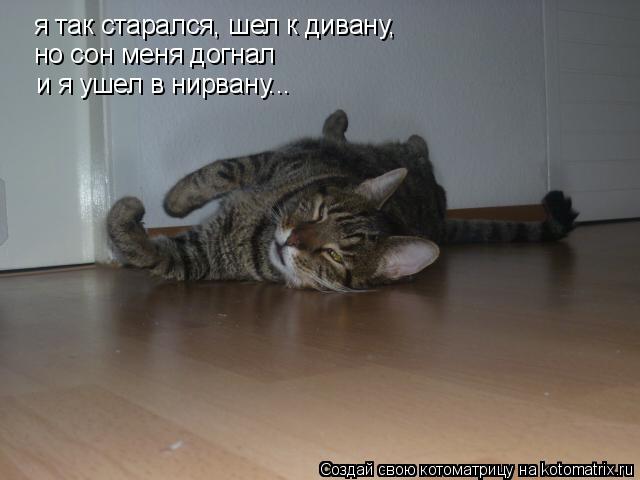 Котоматрица: я так старался, шел к дивану,  но сон меня догнал и я ушел в нирвану...