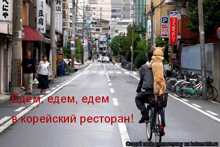 Котоматрица: Едем, едем, едем  в корейский ресторан!