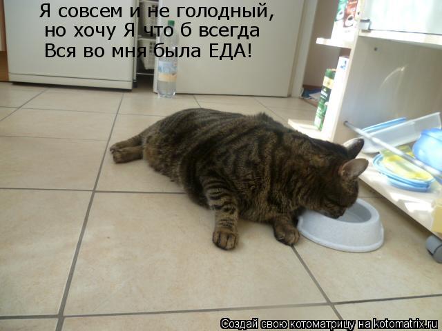 Котоматрица: Я совсем и не голодный, но хочу Я что б всегда Вся во мня была ЕДА!