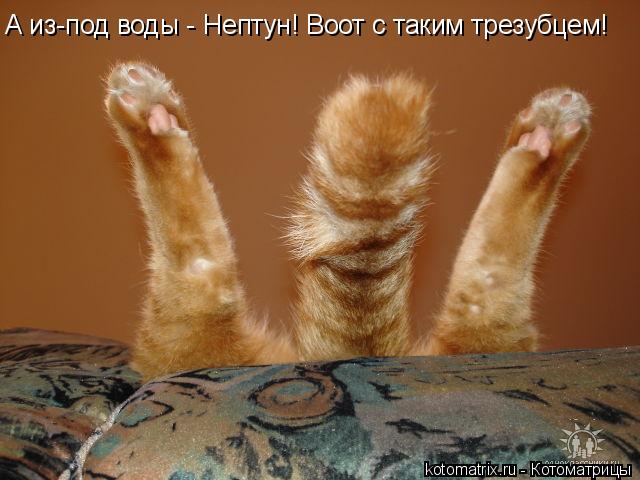 Котоматрица: А из-под воды - Нептун! Воот с таким трезубцем!