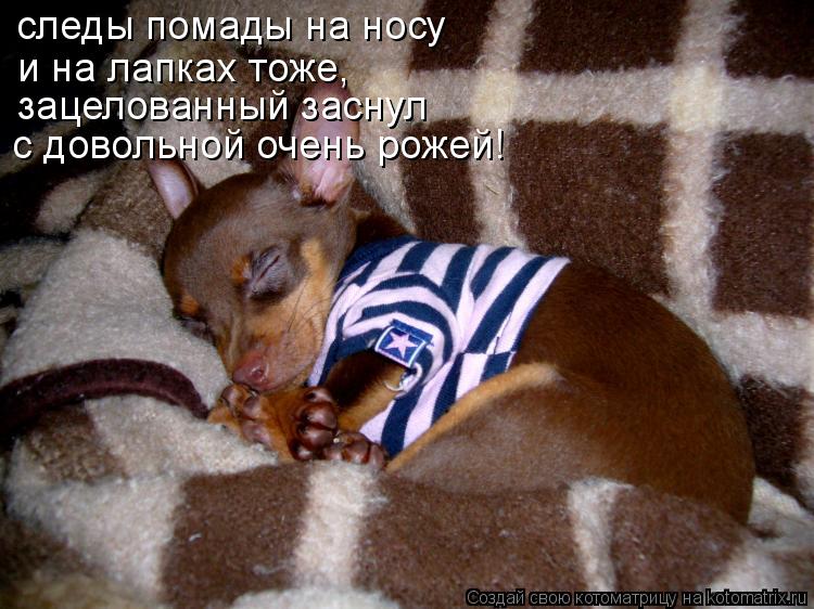 Котоматрица: следы помады на носу и на лапках тоже, зацелованный заснул с довольной очень рожей!