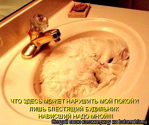 Котоматрица: ЧТО ЗДЕСЬ МОЖЕТ НАРУШИТЬ МОЙ ПОКОЙ?! ЛИШЬ БЛЕСТЯЩИЙ БУДИЛЬНИК  НАВИСШИЙ НАДО МНОЙ!!!