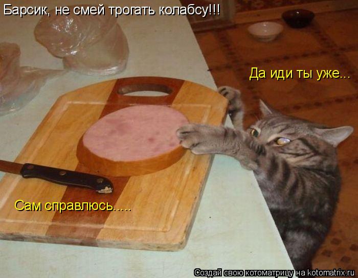 Котоматрица: Барсик, не смей трогать колабсу!!! Да иди ты уже... Сам справлюсь.....