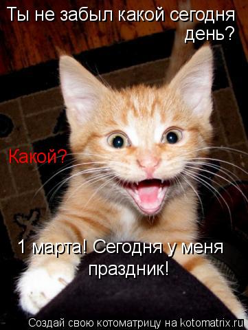 Котоматрица: Ты не забыл какой сегодня  день? Какой? 1 марта! Сегодня у меня праздник!
