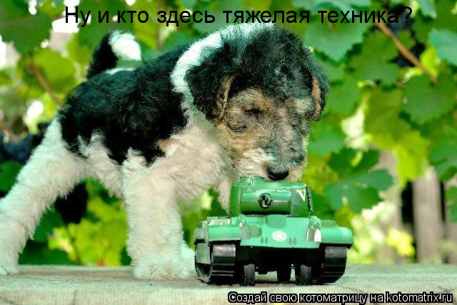 Котоматрица: Ну и кто здесь тяжелая техника?