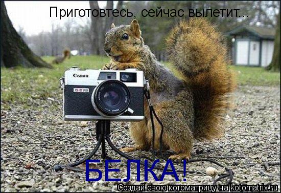 Приготовтесь, сейчас вылетит... БЕЛКА!... Котоматрица: Приготовтесь, сейчас вылетит... БЕЛКА!