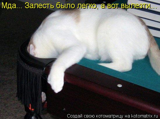 Котоматрица: Мда... Залесть было легко, а вот вылезти...