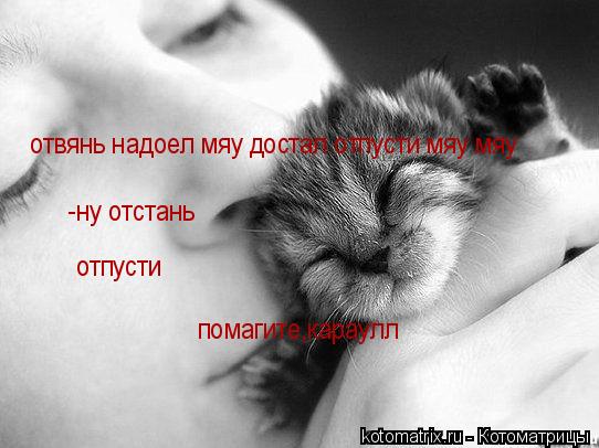 Котоматрица: отвянь надоел мяу достал отпусти мяу мяу -ну отстань отпусти  отпусти  помагите,караулл