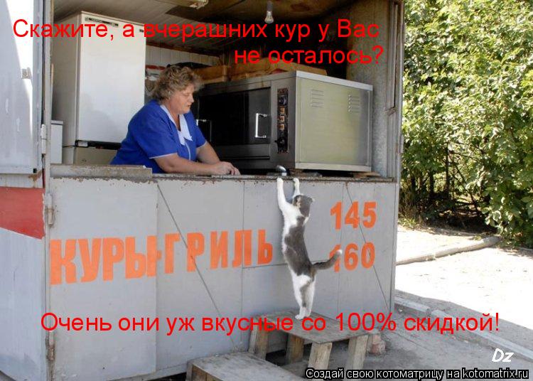 Котоматрица: Скажите, а вчерашних кур у Вас  не осталось? Очень они уж вкусные со 100% скидкой!