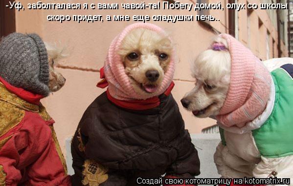 -Уф, заболталася я с вами чавой-та! Побегу домой, олух со школы скоро придет, а мне еще оладушки печ... Котоматрица: -Уф, заболталася я с вами чавой-та! Побегу домой, олух со школы скоро придет, а мне еще оладушки печь..
