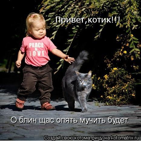 Привет,котик!!! О блин щас опять мучить будет.... Котоматрица: Привет,котик!!! О блин щас опять мучить будет.