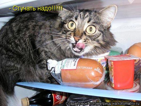 Котоматрица: - Стучать надо!!!!!!