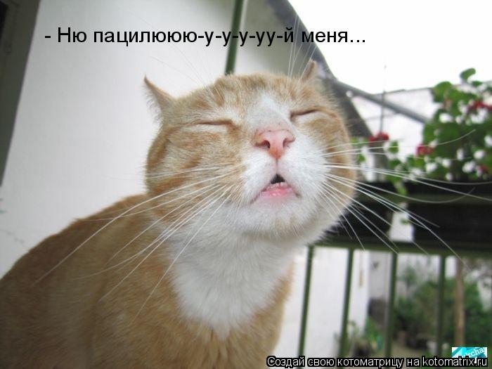 Котоматрица: - Ню пацилююю-у-у-у-уу-й меня...