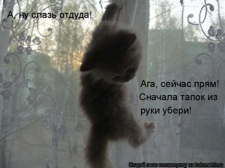 Котоматрица: А, ну слазь отдуда ! Ага, сейчас прям! Сначала тапок из руки убери!