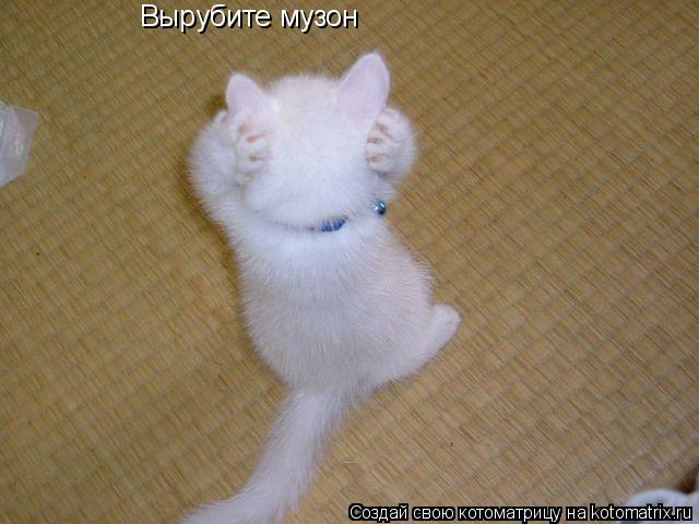 Котоматрица: Вырубите музон