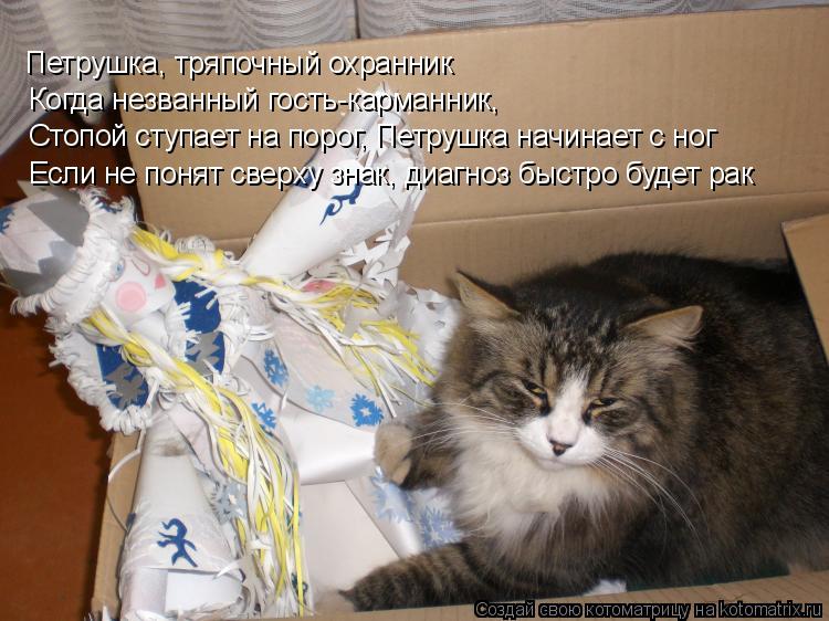 Котоматрица: Петрушка, тряпочный охранник Когда незванный гость-карманник,  Стопой ступает на порог, Петрушка начинает с ног Если не понят сверху знак, д