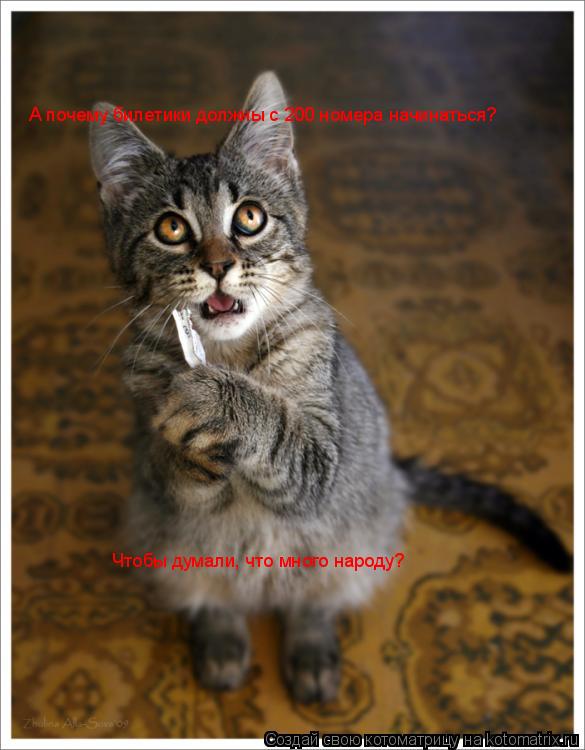 Котоматрица: А почему билетики должны с 200 номера начинаться? Чтобы думали, что много народу?