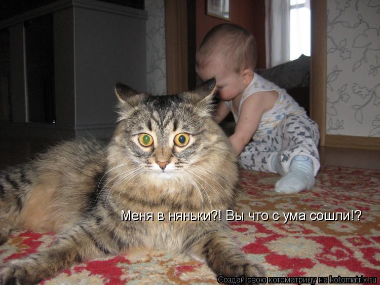 Меня в няньки?! Вы что с ума сошли!?... Котоматрица: Меня в няньки?! Вы что с ума сошли!?