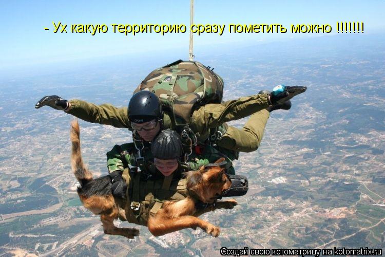 - Ух какую территорию сразу пометить можно !!!!!!!... Котоматрица: - Ух какую территорию сразу пометить можно !!!!!!!