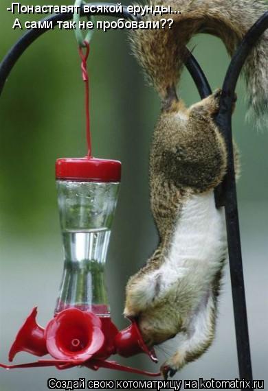 -Понаставят всякой ерунды... А сами так не пробовали??... Котоматрица: -Понаставят всякой ерунды... А сами так не пробовали??