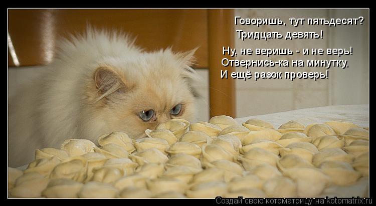 Котоматрица: Тридцать девять! Ну, не веришь - и не верь! Говоришь, тут пятьдесят? Отвернись-ка на минутку, И ещё разок проверь!