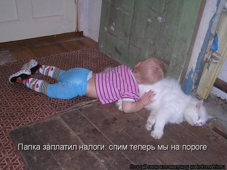 Котоматрица: Папка заплатил налоги: спим теперь мы на пороге